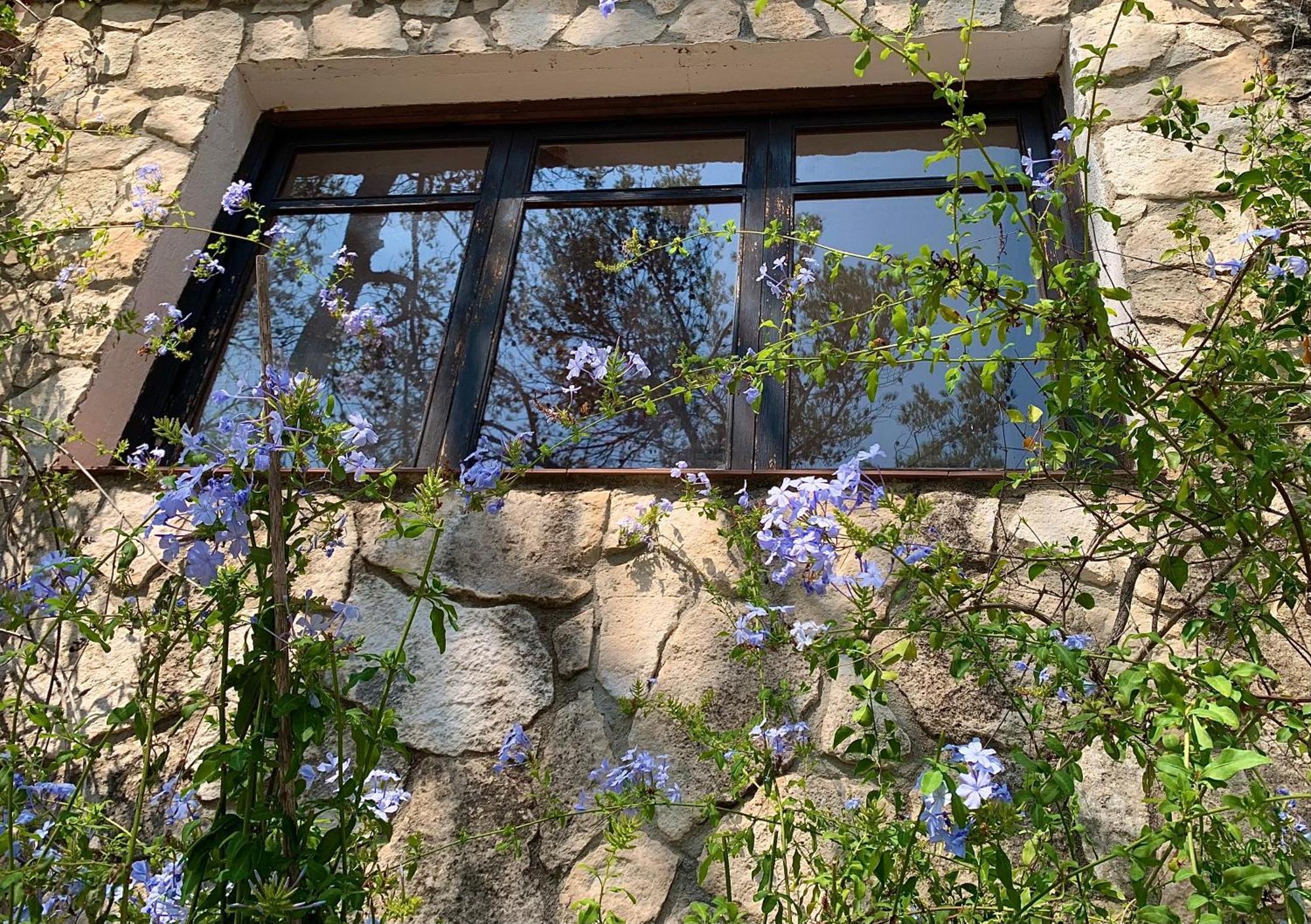 La Casita Del Bosque Daire Sant Pere De Ribes Dış mekan fotoğraf