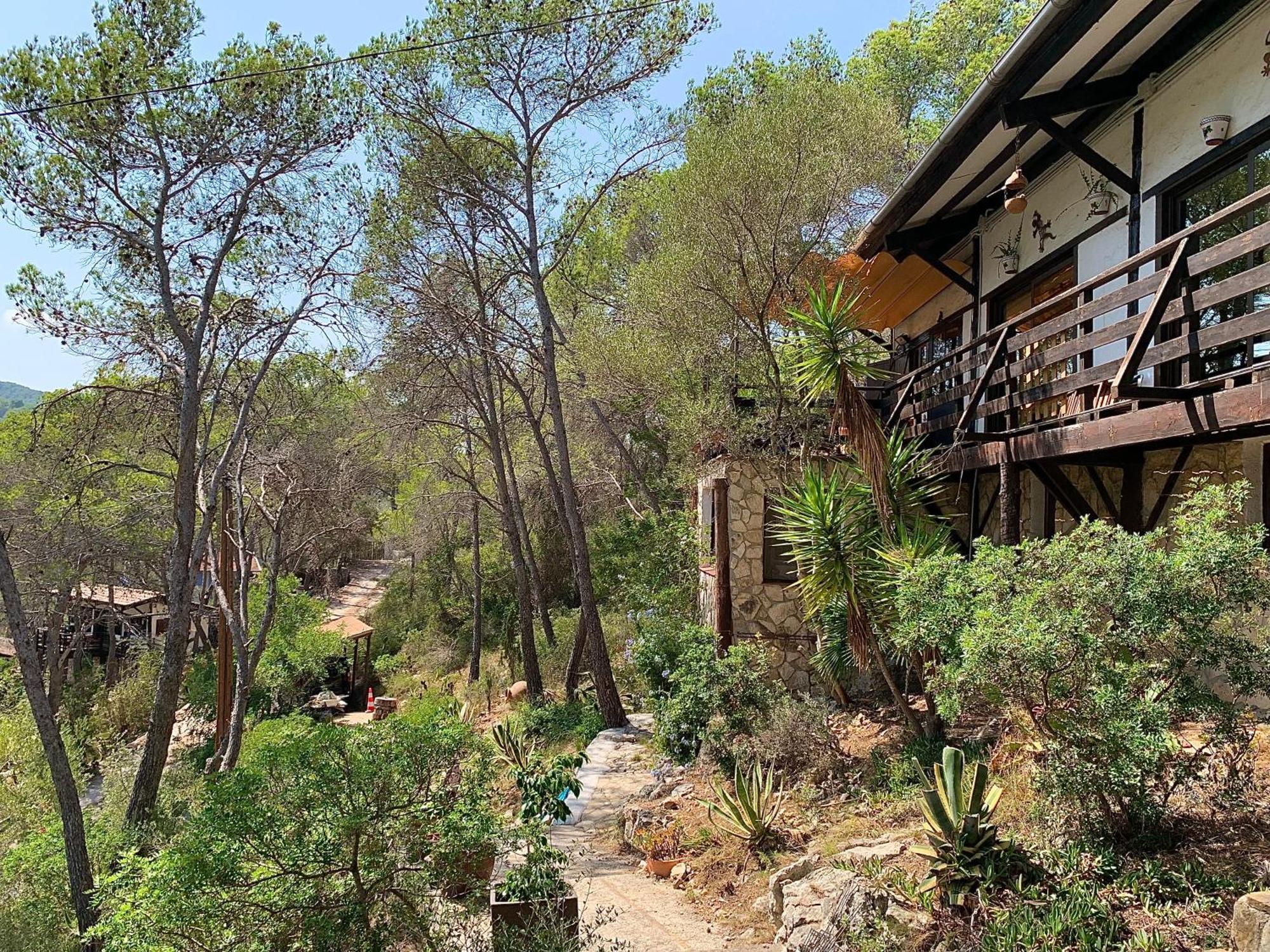 La Casita Del Bosque Daire Sant Pere De Ribes Dış mekan fotoğraf